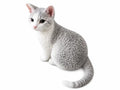 Full Body Portrait