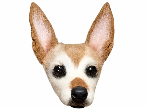 Dog Portrait